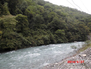 山间湍急河流 绿意环绕
