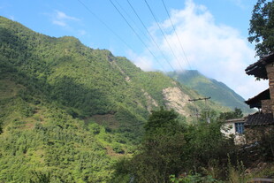 山间村落 绿意盎然的景致