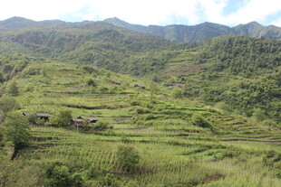 山间梯田美景