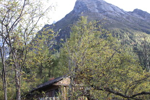 山林中的古朴小屋