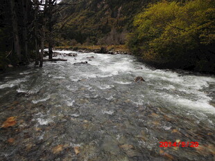 山间湍急溪流
