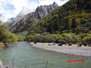 山间清澈河流与葱郁山林