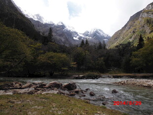 山间溪流美景