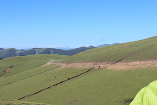 绿色山坡美景