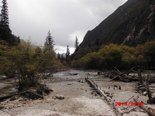 山间溪流与枯木景观