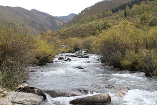 山间溪流 秋色中的灵动之景