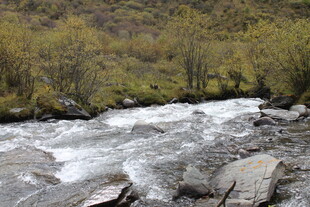 山间湍急溪流