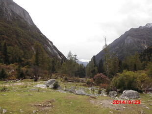 山间草地风景
