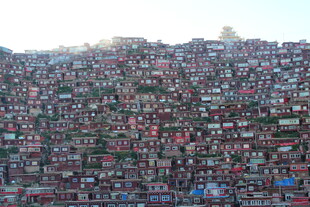拥挤城市景象