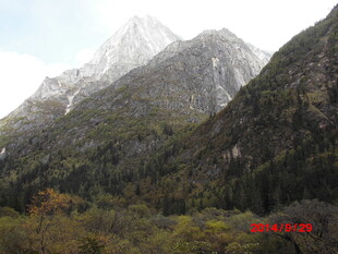 巍峨雪山下的葱郁山林