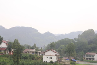山村景致 宁静田园风光
