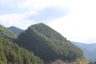 青山林海 自然美景如画