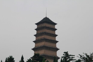 古朴多层宝塔屹立于林间