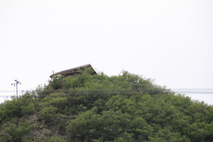 山顶小屋隐于葱郁植被中