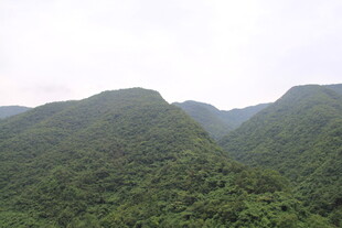 翠绿山峦美景