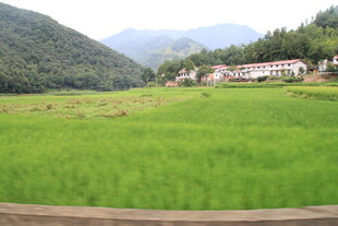 山间绿野中的乡村景致