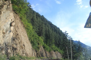 山间陡峭崖壁旁的葱郁林木
