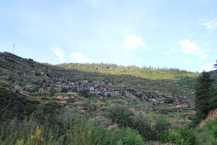 山坡绿植景观