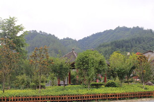 乡村田园风光美景