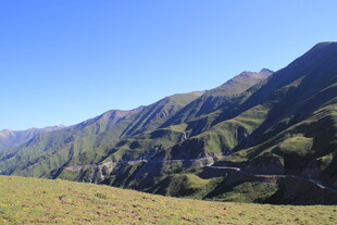 高山草甸风光