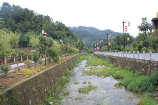 乡村溪边景致