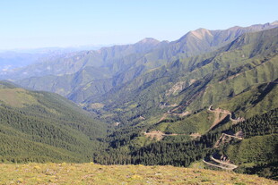 山间美景 绿意盎然的山谷