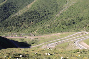 山间蜿蜒公路与放牧场景