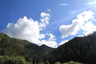 蓝天白云下的山林美景