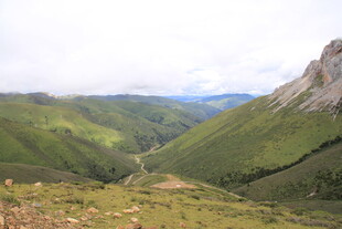 山间绿野美景