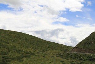 山间绿野公路