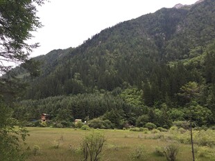 山间绿野风景