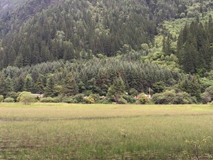 山间绿野风光
