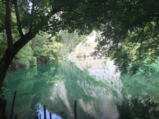 林间碧潭美景
