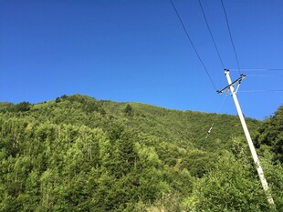 青山间的电线杆