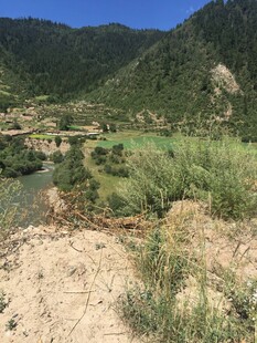 山间绿野风光