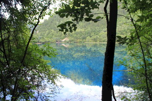 林间湖畔美景