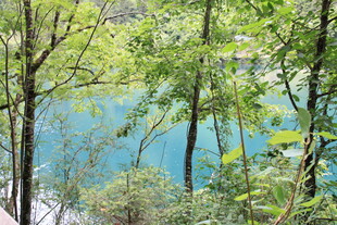 林间蓝湖美景