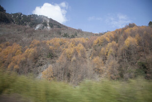 秋日山林美景