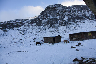 雪山下的静谧小屋