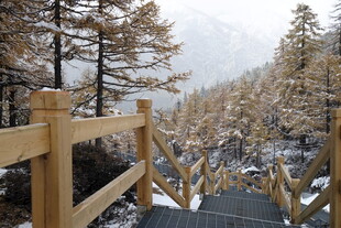 雪中山间木栈道景观