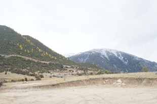 雪山下的开阔山地景观