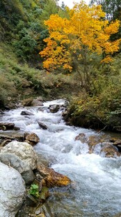 山间溪流秋色美景