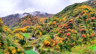 秋日山峦多彩风光