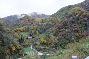 秋日山间多彩美景
