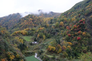 秋日山间美景