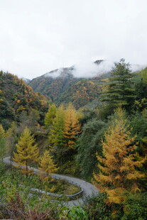 山间秋色蜿蜒公路美景