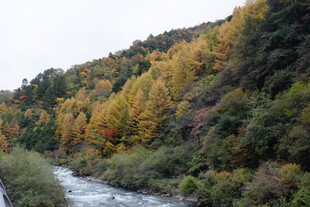 秋日山间溪流美景