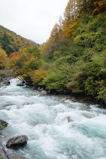 山间湍急溪流的秋日美景