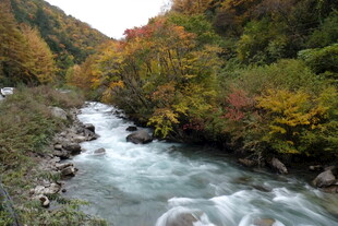 秋日山间湍急溪流美景