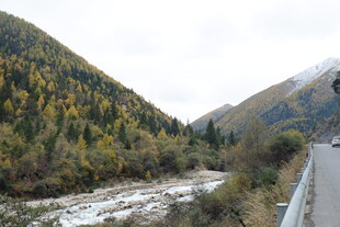 山间公路秋景